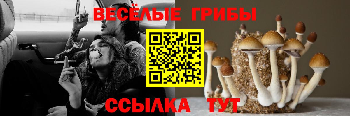 Асбест  Псилоцибиновые грибы MAGIC MUSHROOMS  Вход с VPN  Галлюциногенные грибы мицелий 